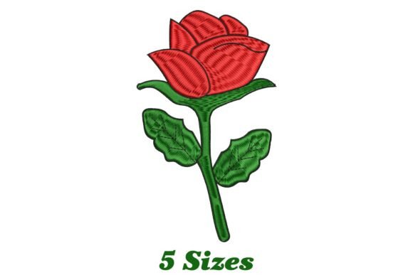 Delicate Rose: A Seller’s Real-World Review