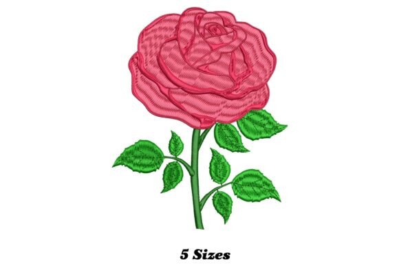 Enchanting Rose: A Designer’s Real-World Review